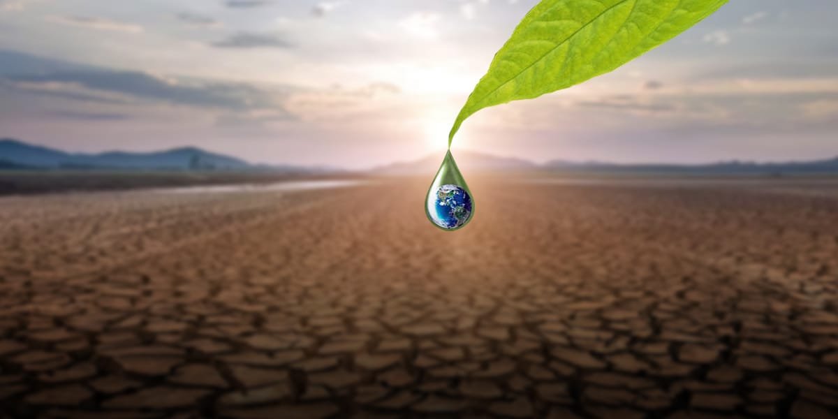 Sequías en México y cómo afecta la calidad del agua - Purifika
