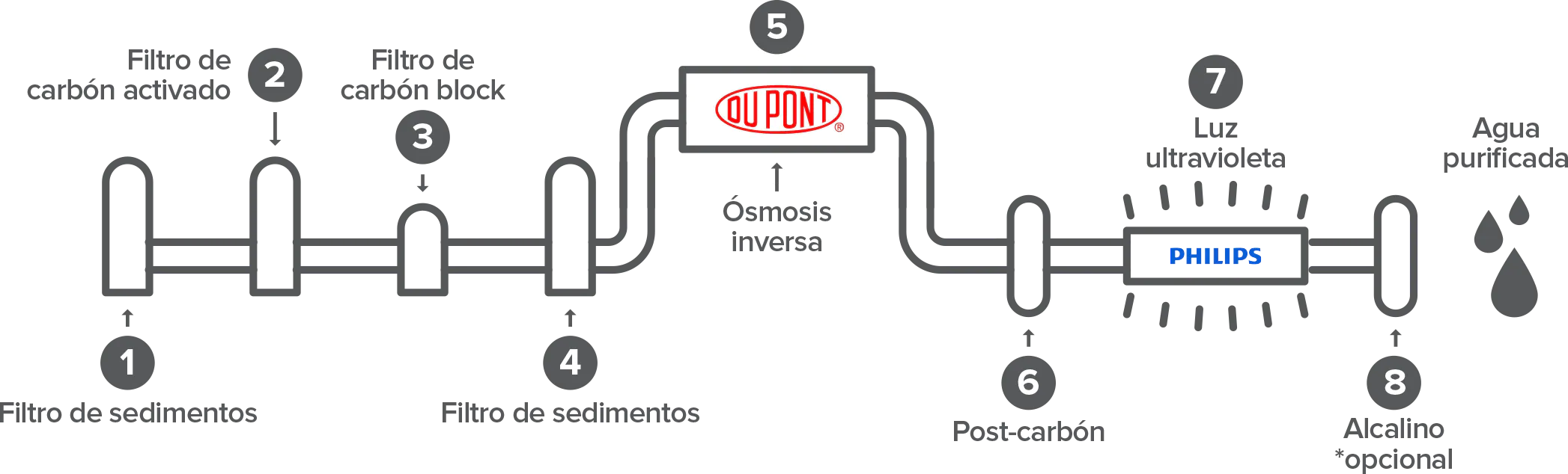 Diagrama 8 pasos purificación